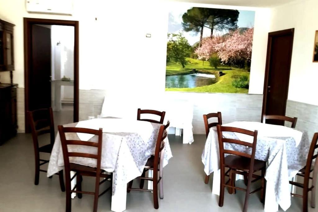 Old Club Casa Vacanze Carlo Trani 아프릴리아 외부 사진